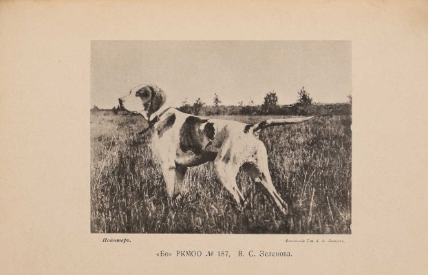 [Родословная книга охотничьих собак]. Правила записи в родословную книгу охотничьих собак ... [В 5 т.]. 1902-1914.